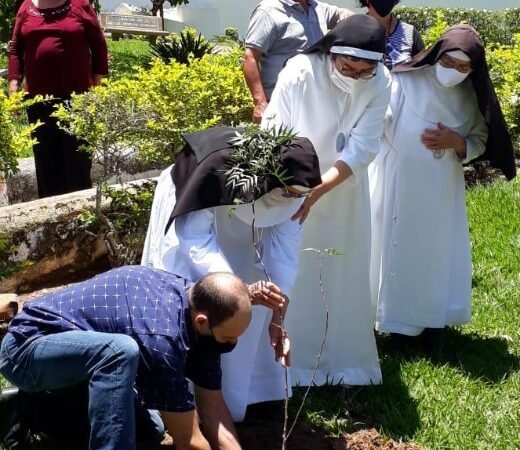 No dia de finados, irmãs dão exemplo e plantam árvore no Mosteiro de Macaúbas