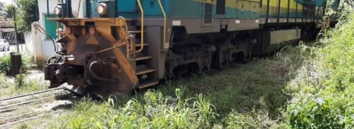 Moradores da Ponte pedem à Prefeitura limpeza do mato ao lado da linha de ferro