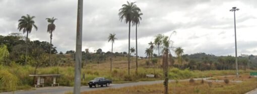 Projeto de construir 537 habitações pode destruir área verde do centro de SL