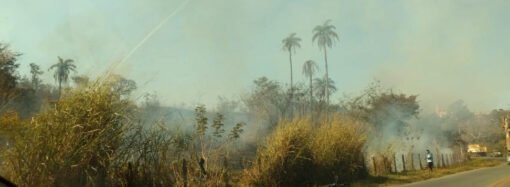 Moradores de Santa Luzia lutam pela criação do Parque Vicente Araújo