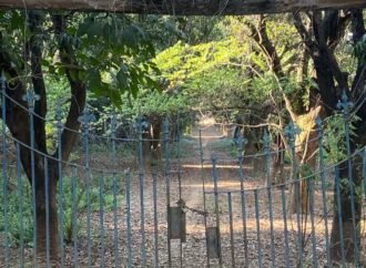 “Na volta do ginásio, era o maior prazer atravessar a fazenda de Vicente Araújo”