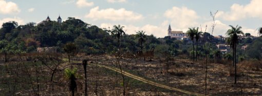 Vereadores defendem loteamento na antiga fazenda, mas desconhecem projeto