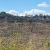 ‘Salve Santa Luzia’ segue lutando para transformar antiga fazenda em Parque
