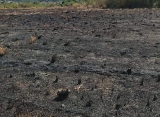 Incêndio na fazenda causa transtornos aos moradores do bairro Boa Esperança