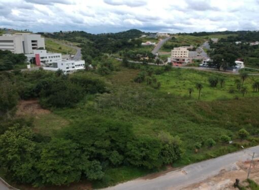 Ocupação do bairro Novo Centro preocupa moradores de Santa Luzia
